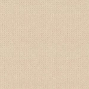 Shaw Floors Carpet Town Square Linen 00121_ZZ263