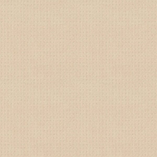 Shaw Floors Carpet Town Square Linen 00121_ZZ263