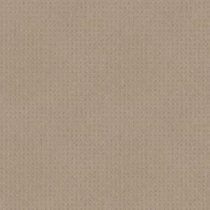 Shaw Floors Carpet Town Square Dune 00152_ZZ263
