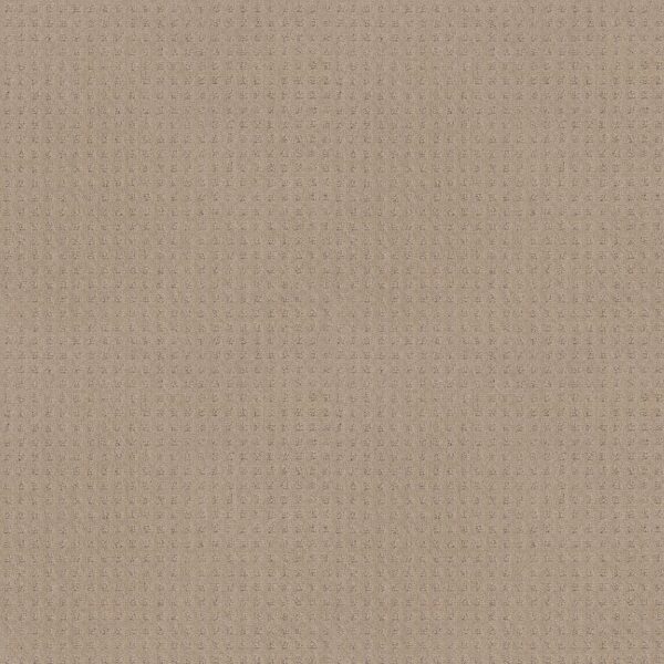 Shaw Floors Carpet Town Square Dune 00152_ZZ263
