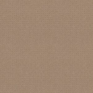 Shaw Floors Carpet Town Square Spanish Sand 00154_ZZ263