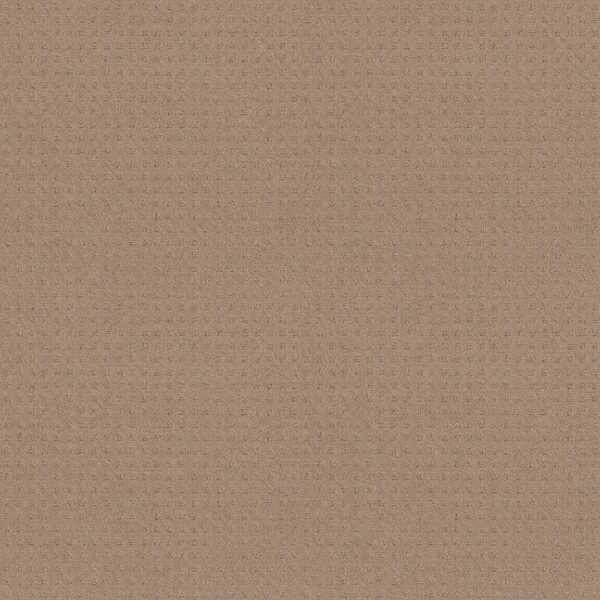 Shaw Floors Carpet Town Square Spanish Sand 00154_ZZ263