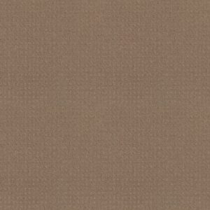 Shaw Floors Carpet Town Square Sierra Hills 00174_ZZ263