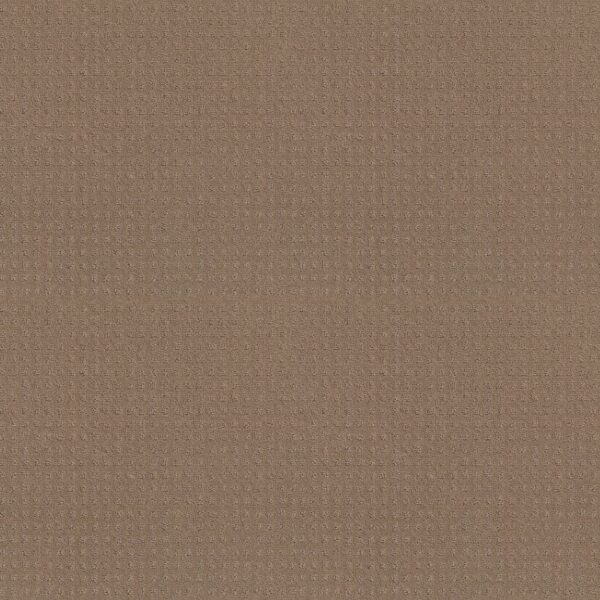 Shaw Floors Carpet Town Square Sierra Hills 00174_ZZ263