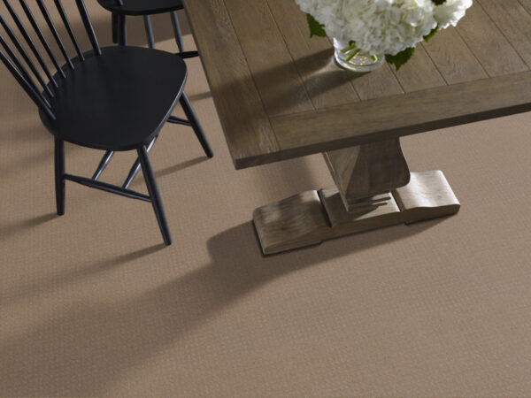 Shaw Floors Carpet Town Square Sierra Hills 00174_ZZ263 - Image 2