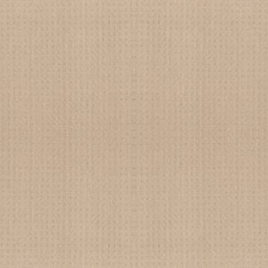 Shaw Floors Carpet Town Square Cornflower 00212_ZZ263