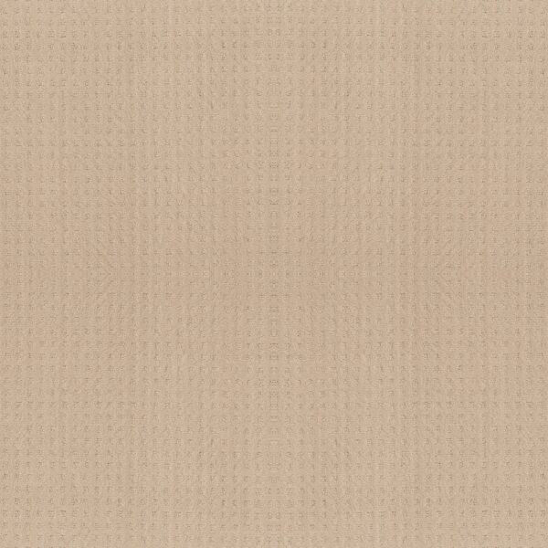Shaw Floors Carpet Town Square Cornflower 00212_ZZ263