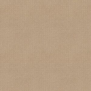 Shaw Floors Carpet Town Square Magic 00214_ZZ263