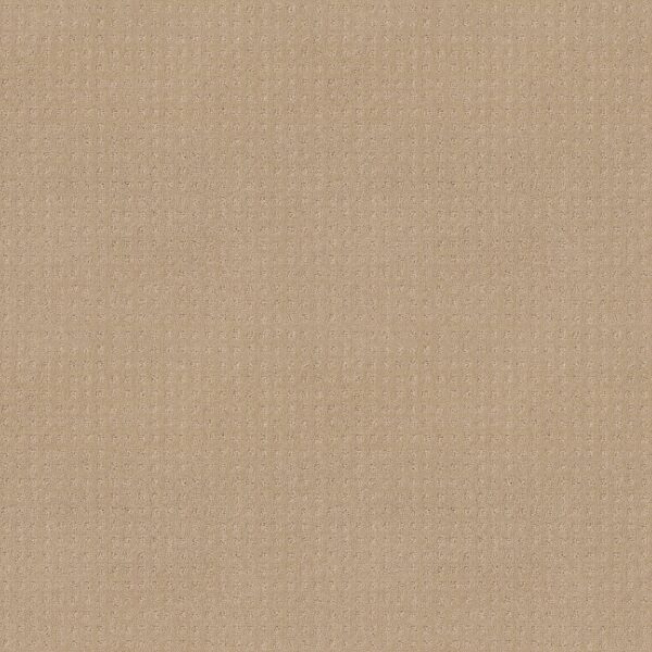 Shaw Floors Carpet Town Square Magic 00214_ZZ263