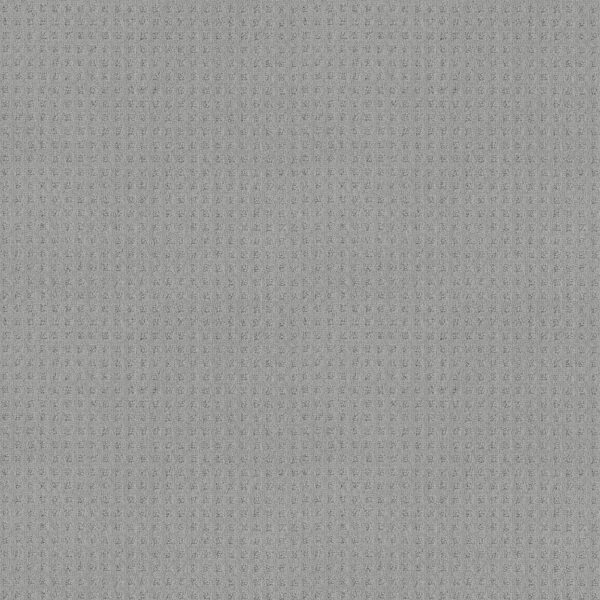 Shaw Floors Carpet Town Square Soft Sky 00423_ZZ263