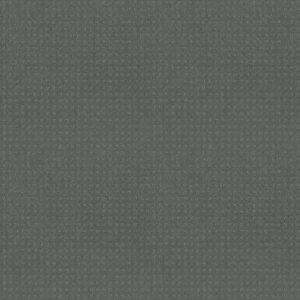 Shaw Floors Carpet Town Square Tidal 00446_ZZ263