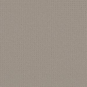 Shaw Floors Carpet Town Square Ash Mist 00511_ZZ263