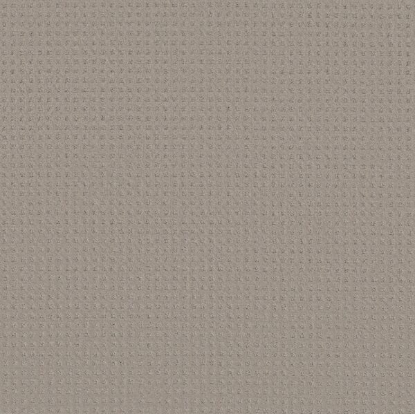 Shaw Floors Carpet Town Square Ash Mist 00511_ZZ263
