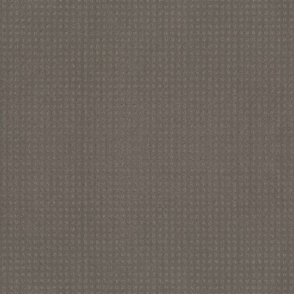 Shaw Floors Carpet Town Square Still Gray 00515_ZZ263