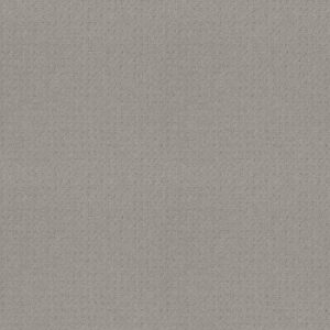 Shaw Floors Carpet Town Square Silver Fox 00541_ZZ263