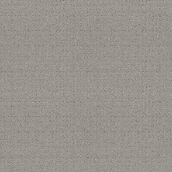 Shaw Floors Carpet Town Square Silver Fox 00541_ZZ263