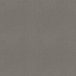Shaw Floors Carpet Town Square Pebble Beach 00545_ZZ263