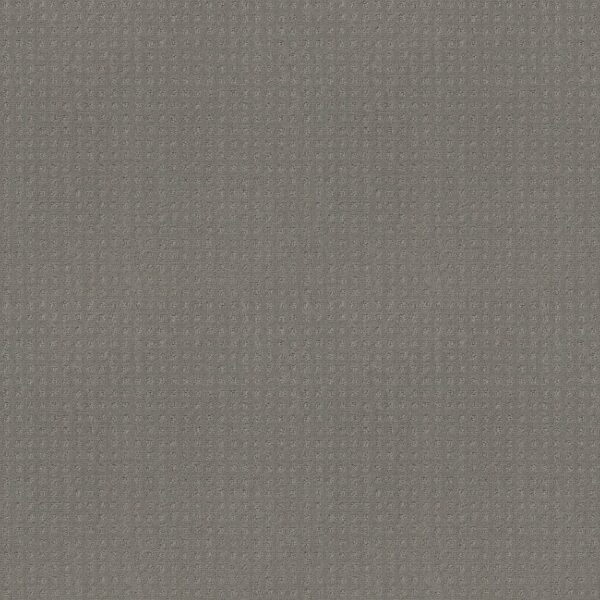 Shaw Floors Carpet Town Square Pebble Beach 00545_ZZ263