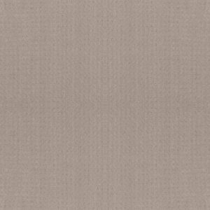 Shaw Floors Carpet Town Square Bit Of Gray 00552_ZZ263