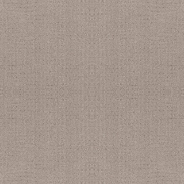 Shaw Floors Carpet Town Square Bit Of Gray 00552_ZZ263