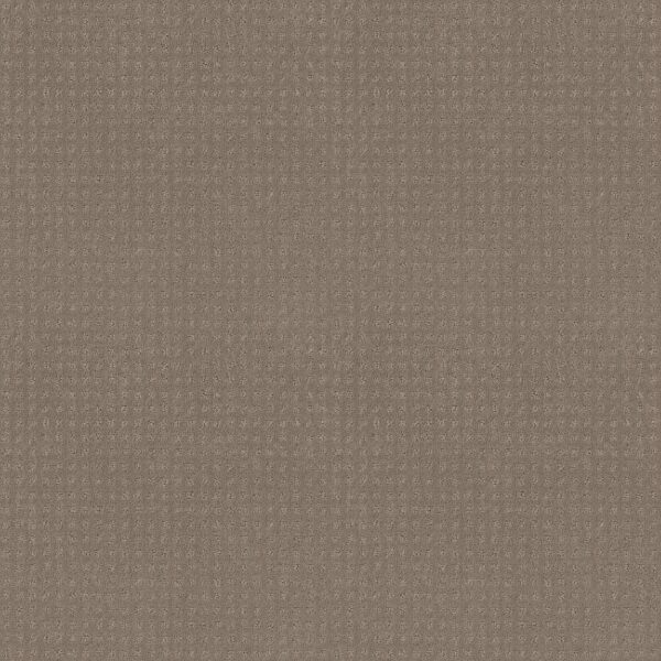 Shaw Floors Carpet Town Square Koala 00553_ZZ263