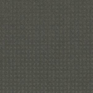 Shaw Floors Carpet Town Square Pewter 00558_ZZ263