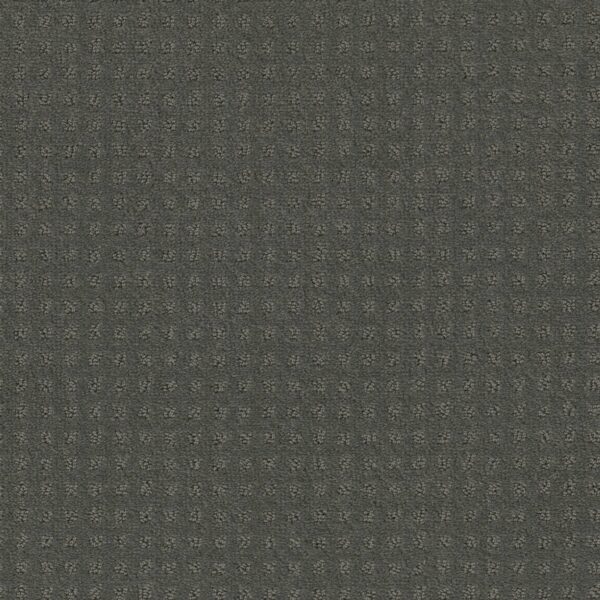Shaw Floors Carpet Town Square Pewter 00558_ZZ263