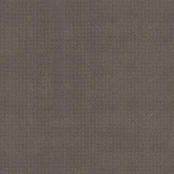 Shaw Floors Carpet Town Square Potting Soil 00573_ZZ263