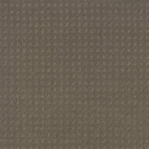 Shaw Floors Carpet Town Square Riverbank 00575_ZZ263