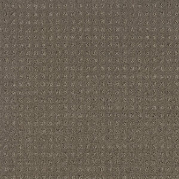 Shaw Floors Carpet Town Square Riverbank 00575_ZZ263
