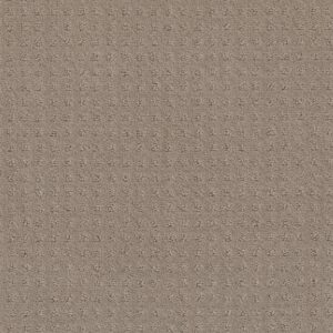 Shaw Floors Carpet Town Square Barista 00752_ZZ263