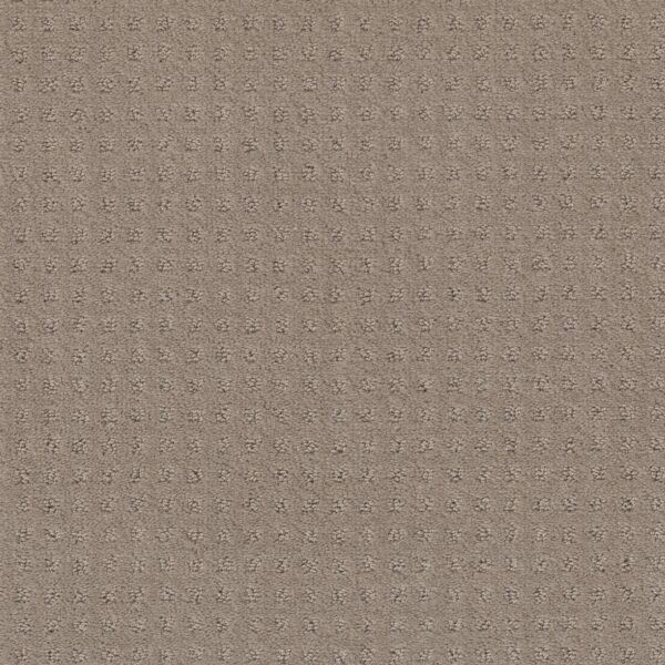 Shaw Floors Carpet Town Square Barista 00752_ZZ263