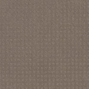 Shaw Floors Carpet Town Square Shitake 00754_ZZ263