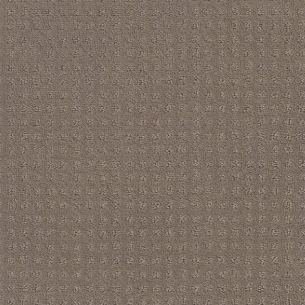 Shaw Floors Carpet Town Square Shitake 00754_ZZ263