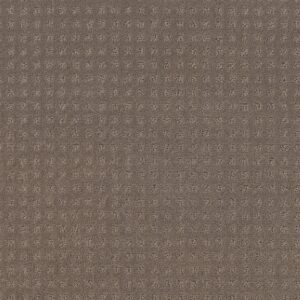 Shaw Floors Carpet Town Square Smokestack 00756_ZZ263