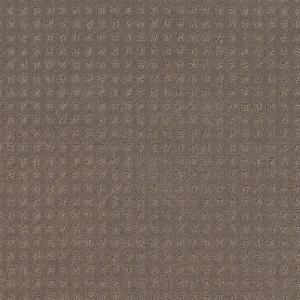Shaw Floors Carpet Town Square Smokestack 00756_ZZ263