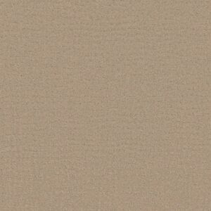 Shaw Floors Carpet Solstice Terrazo 00114_ZZ264
