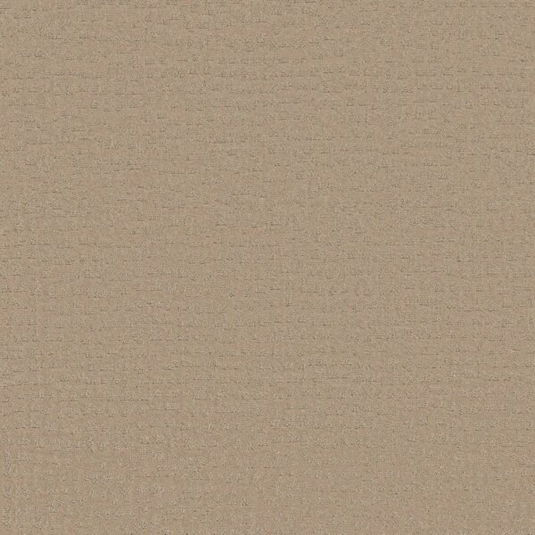 Shaw Floors Carpet Solstice Terrazo 00114_ZZ264