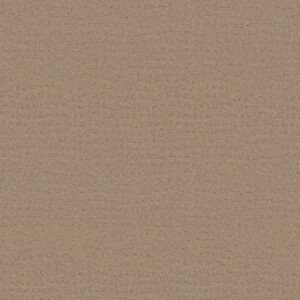 Shaw Floors Carpet Solstice Beach Grass 00117_ZZ264