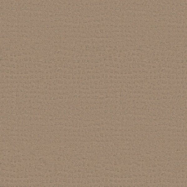 Shaw Floors Carpet Solstice Beach Grass 00117_ZZ264