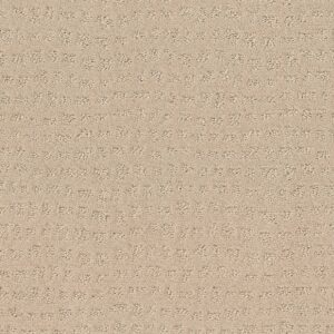 Shaw Floors Carpet Solstice Ivory 00120_ZZ264