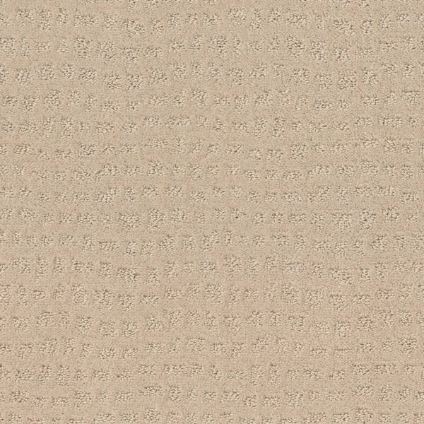 Shaw Floors Carpet Solstice Ivory 00120_ZZ264
