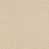 Shaw Floors Carpet Solstice Linen 00121_ZZ264