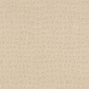 Shaw Floors Carpet Solstice Linen 00121_ZZ264