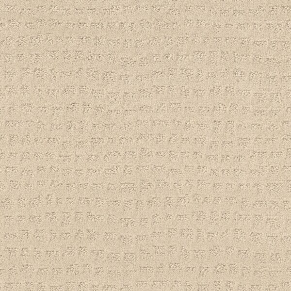 Shaw Floors Carpet Solstice Linen 00121_ZZ264