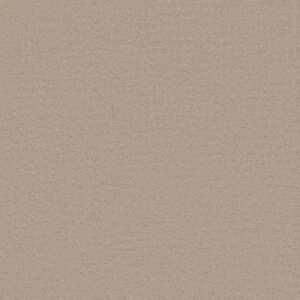 Shaw Floors Carpet Solstice Dune 00152_ZZ264