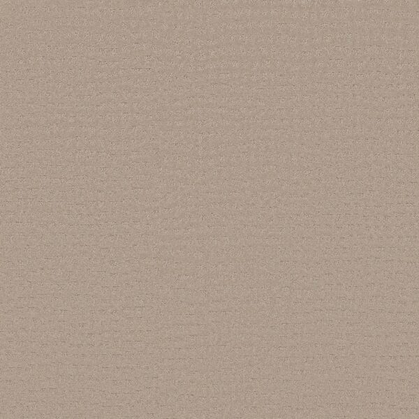 Shaw Floors Carpet Solstice Dune 00152_ZZ264