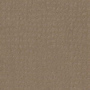 Shaw Floors Carpet Solstice Sierra Hills 00174_ZZ264