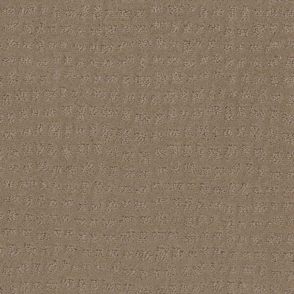 Shaw Floors Carpet Solstice Sierra Hills 00174_ZZ264