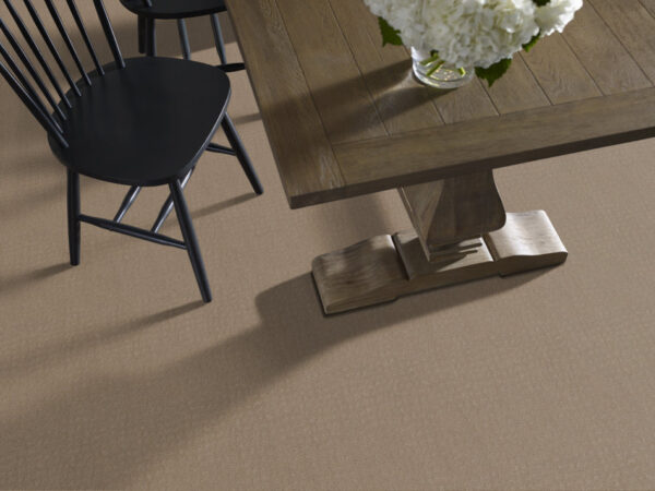 Shaw Floors Carpet Solstice Sierra Hills 00174_ZZ264 - Image 2